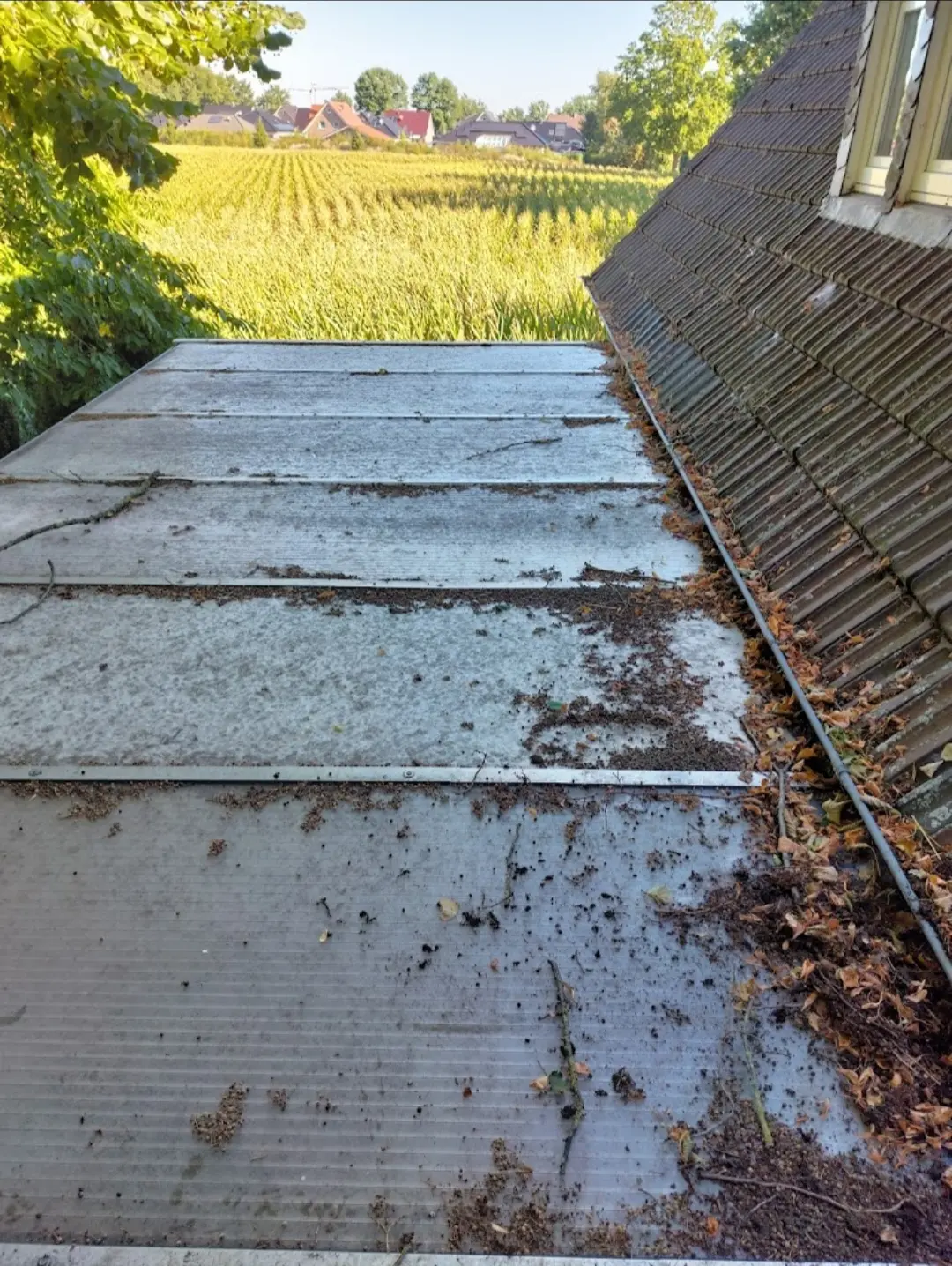 Verschmutztes Terrassendach vor der professionellen Wintergartenreinigung